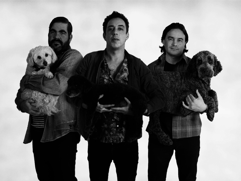 Wolf Parade Toutpartout